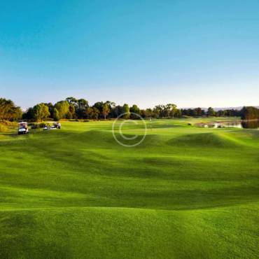 Senior Open Championship